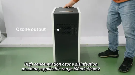 Machine portative d'ozoniseur de désinfection d'air de générateur d'ozone d'électricité de Flygoo 50g/Hr